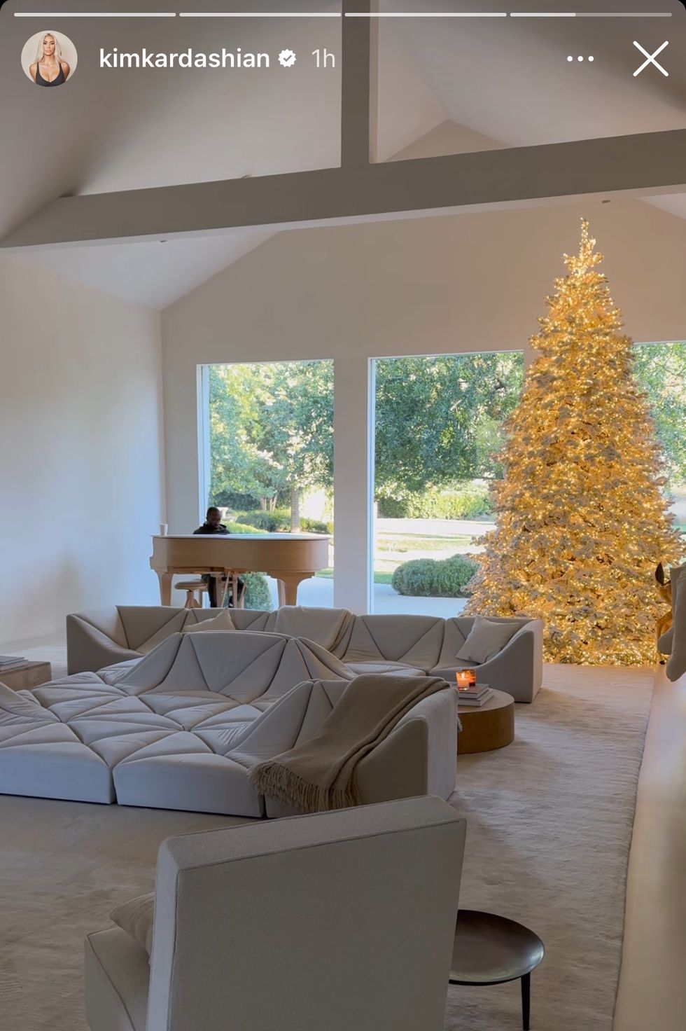 a living room with a couch and a tree