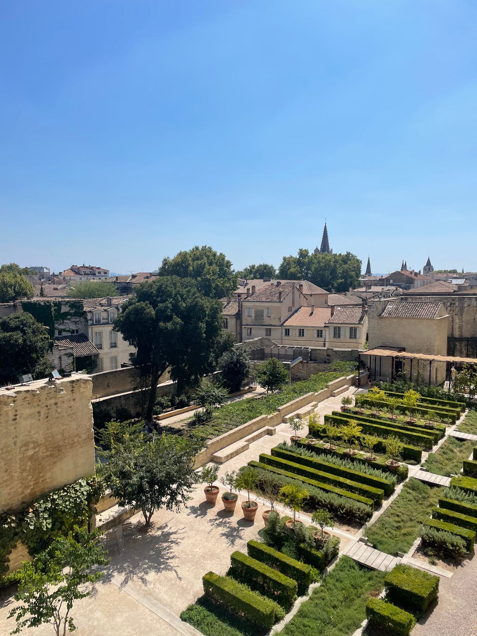 avignon
