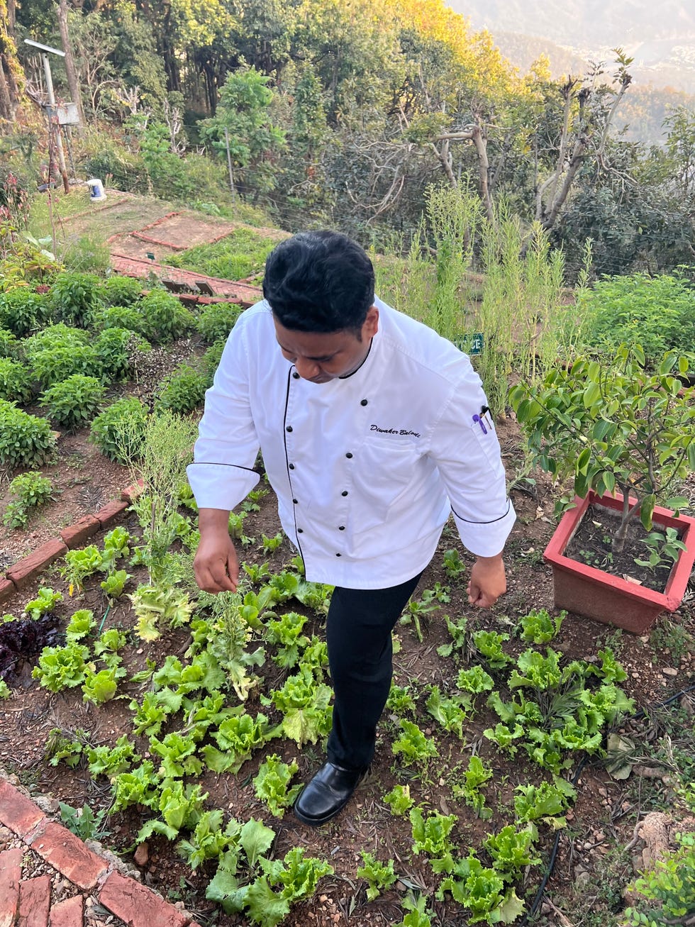 chef balodi in the garden at ananda in the himalayas