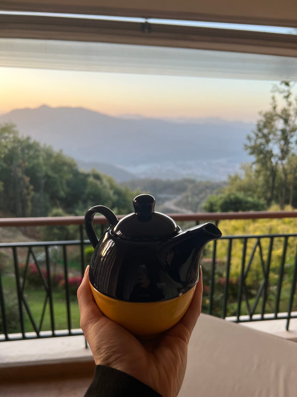 a hand holding a glass mug with a teapot on a balcony overlooking trees and mountains