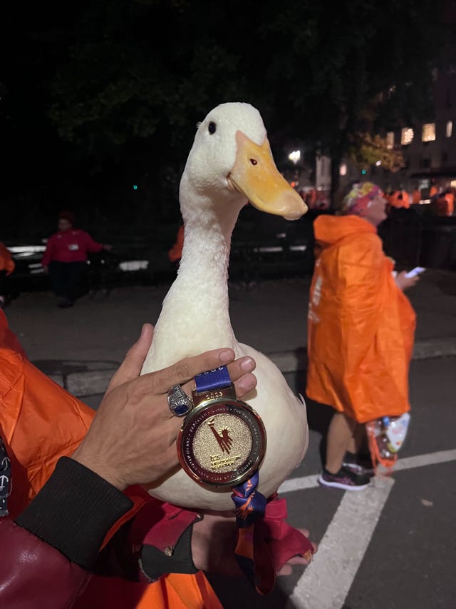 a person holding a duck