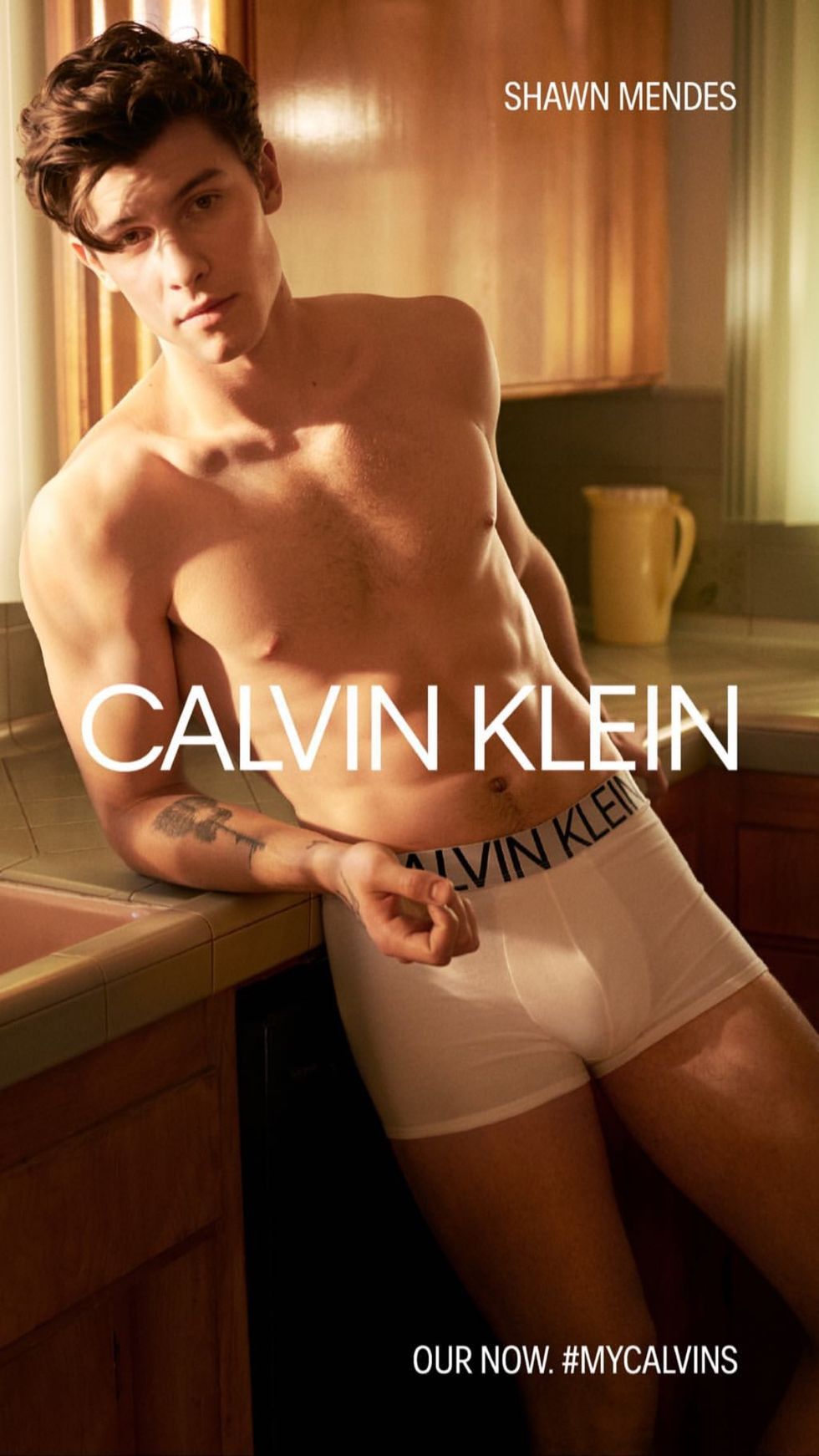 Shawn Mendes Calvin Klein Campaign Pictures - Can We Please Talk About the  Thirst Trap That Shawn Mendes Just Posted