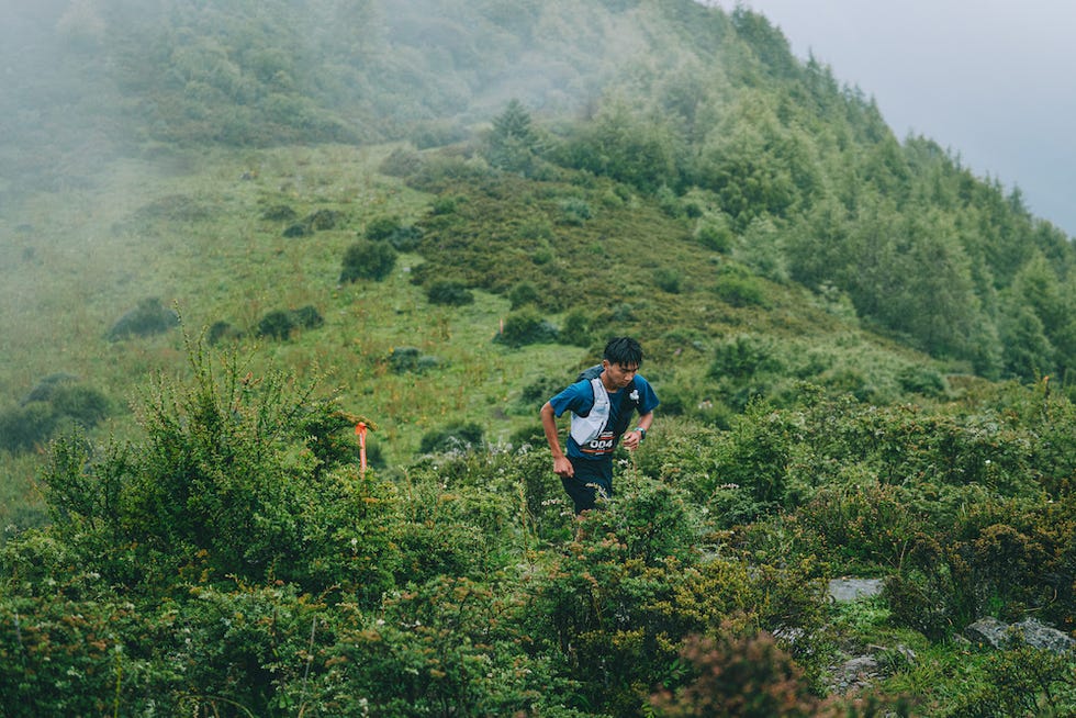a man walking through a forest
