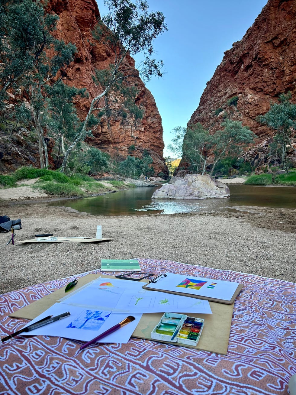 painting equipment laid out in front of simpsons gap in australia northern territory