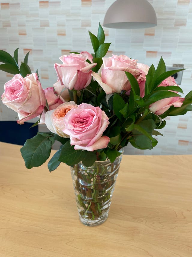 a dozen pink rose bouquet