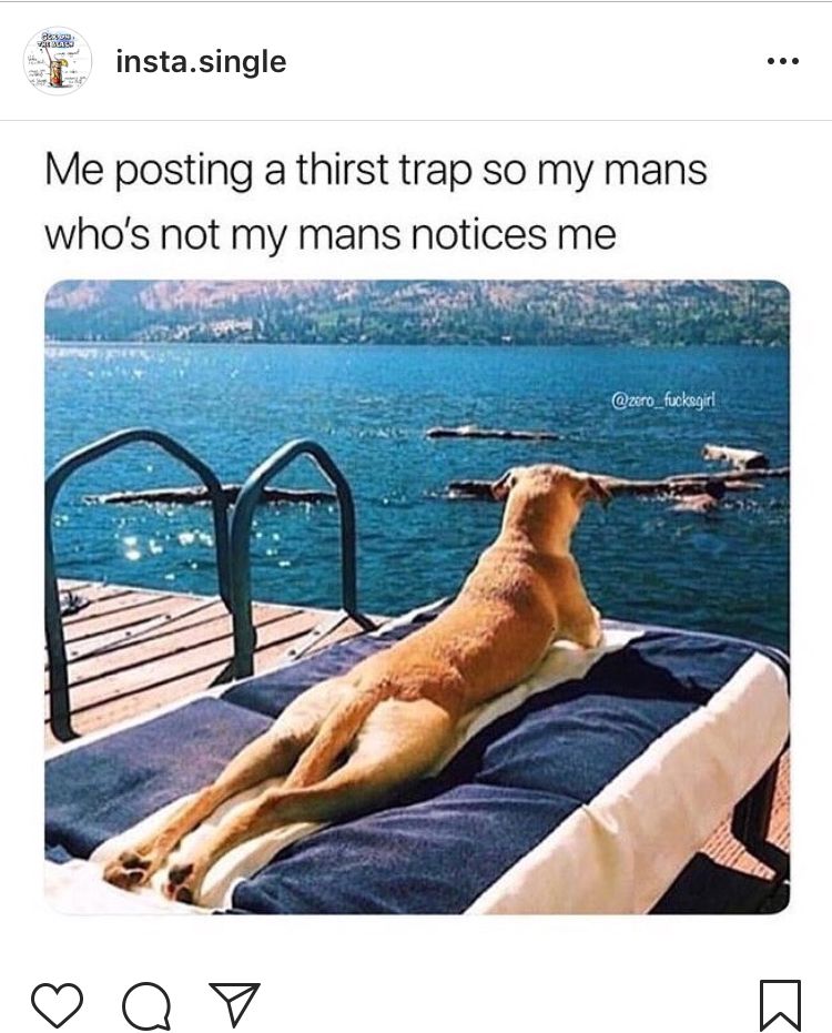 sexy memes on instagram