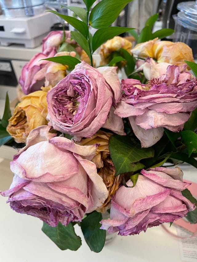 dried roses