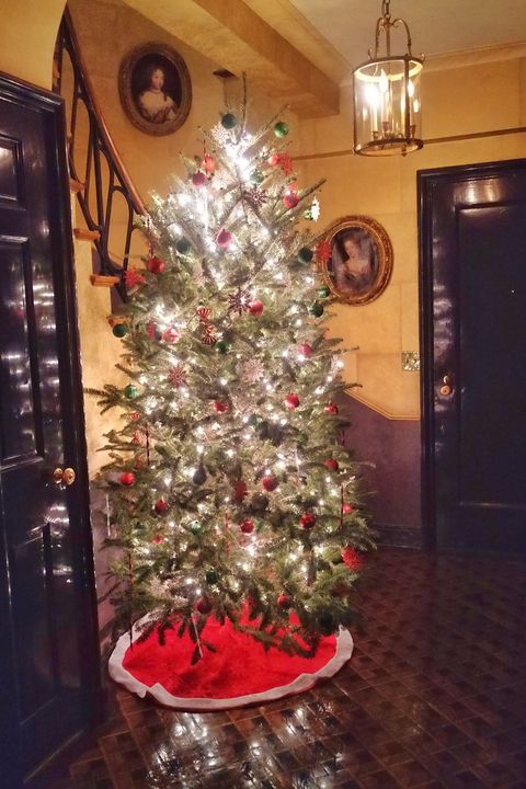 Christmas tree, Christmas, Christmas decoration, Tree, Christmas ornament, Branch, Spruce, Woody plant, Plant, Tradition, 