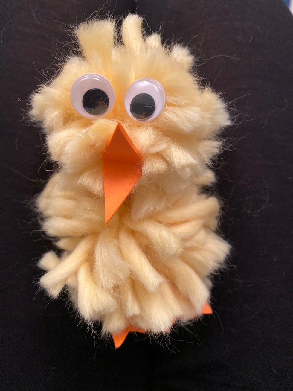 Stuffed toy, Fur, Beak, Toy, Bird, Plush, Bird of prey, Feather, Owl, 