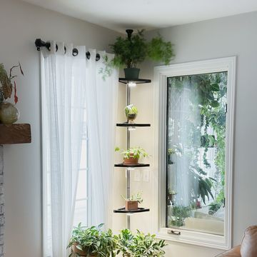cómo colocar plantas una estantería