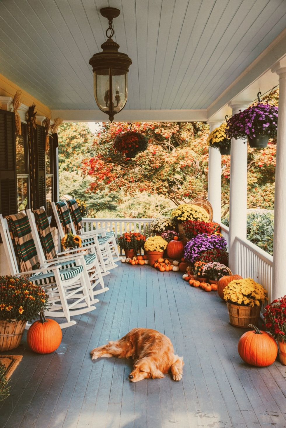 fall front porch with mums and rocking chairs