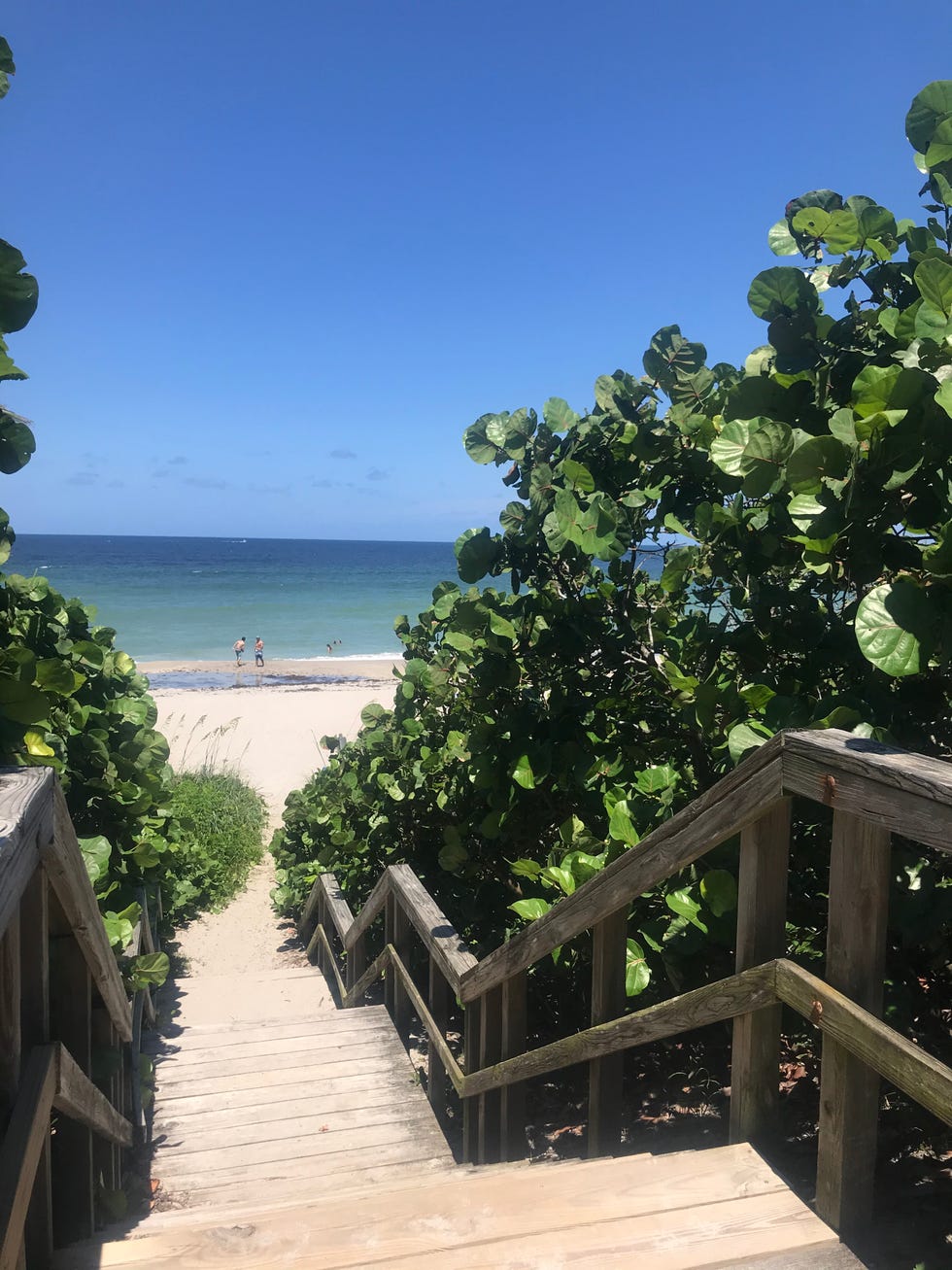 florida beach