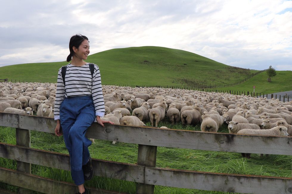 Sheep, Jeans, Pasture, Denim, Sheep, Highland, People in nature, Jacket, Rural area, Hill, 