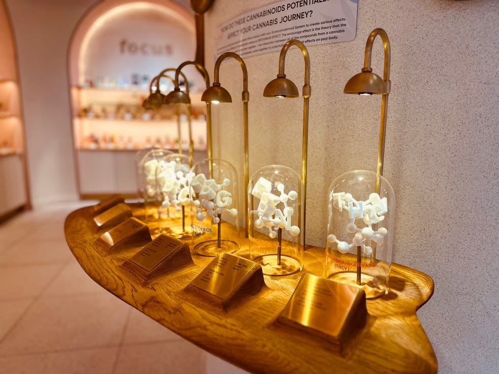 alta dispensary