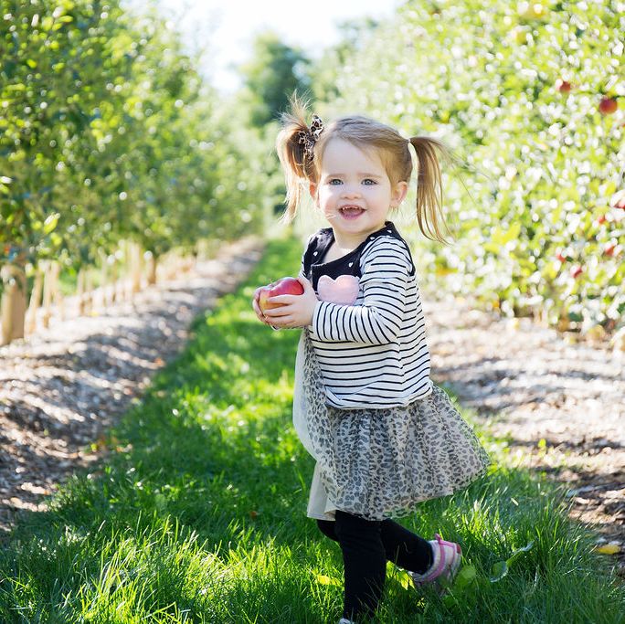 little girl in pigtails holding an apple in an orchard