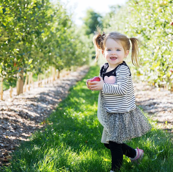 little girl in pigtails holding an apple in an orchard