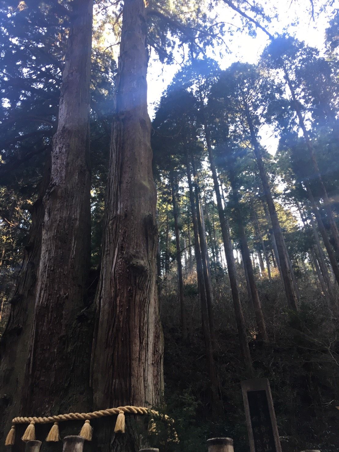 宇宙的パワースポット？霊山修験場・御岩山へ行ってきた！