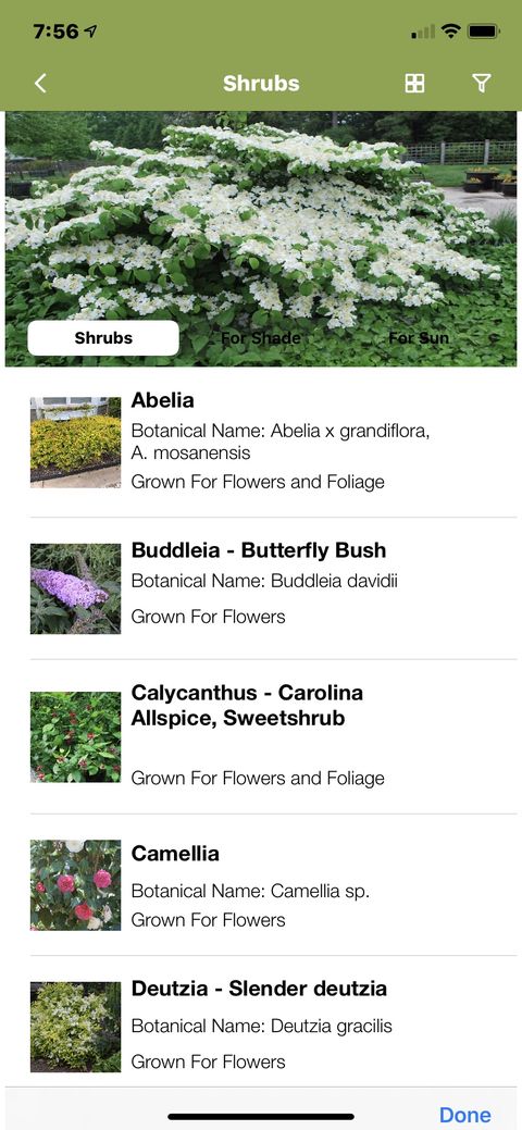 screen shot of garden plants planner
