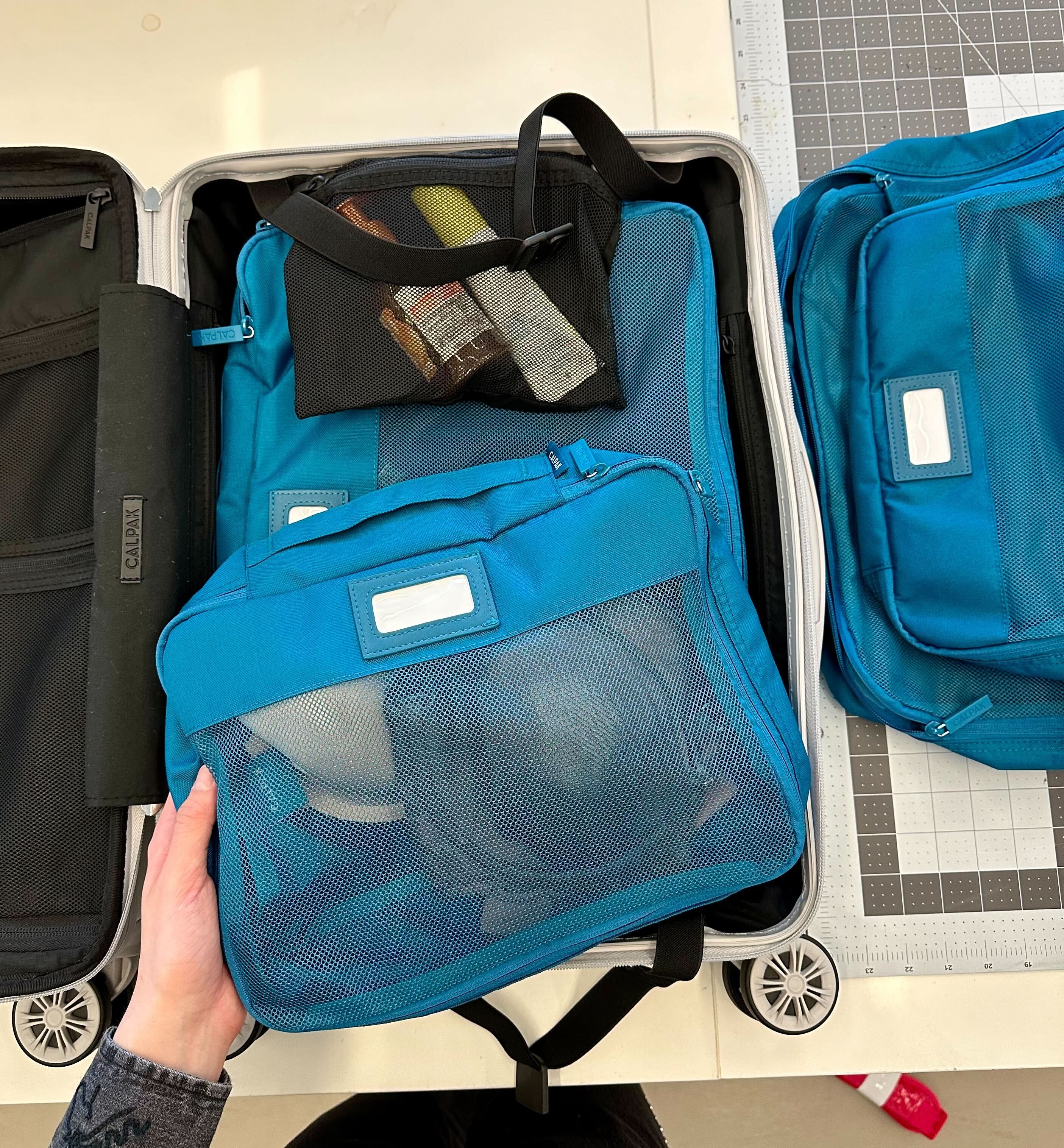 Calpak davis fashion luggage review