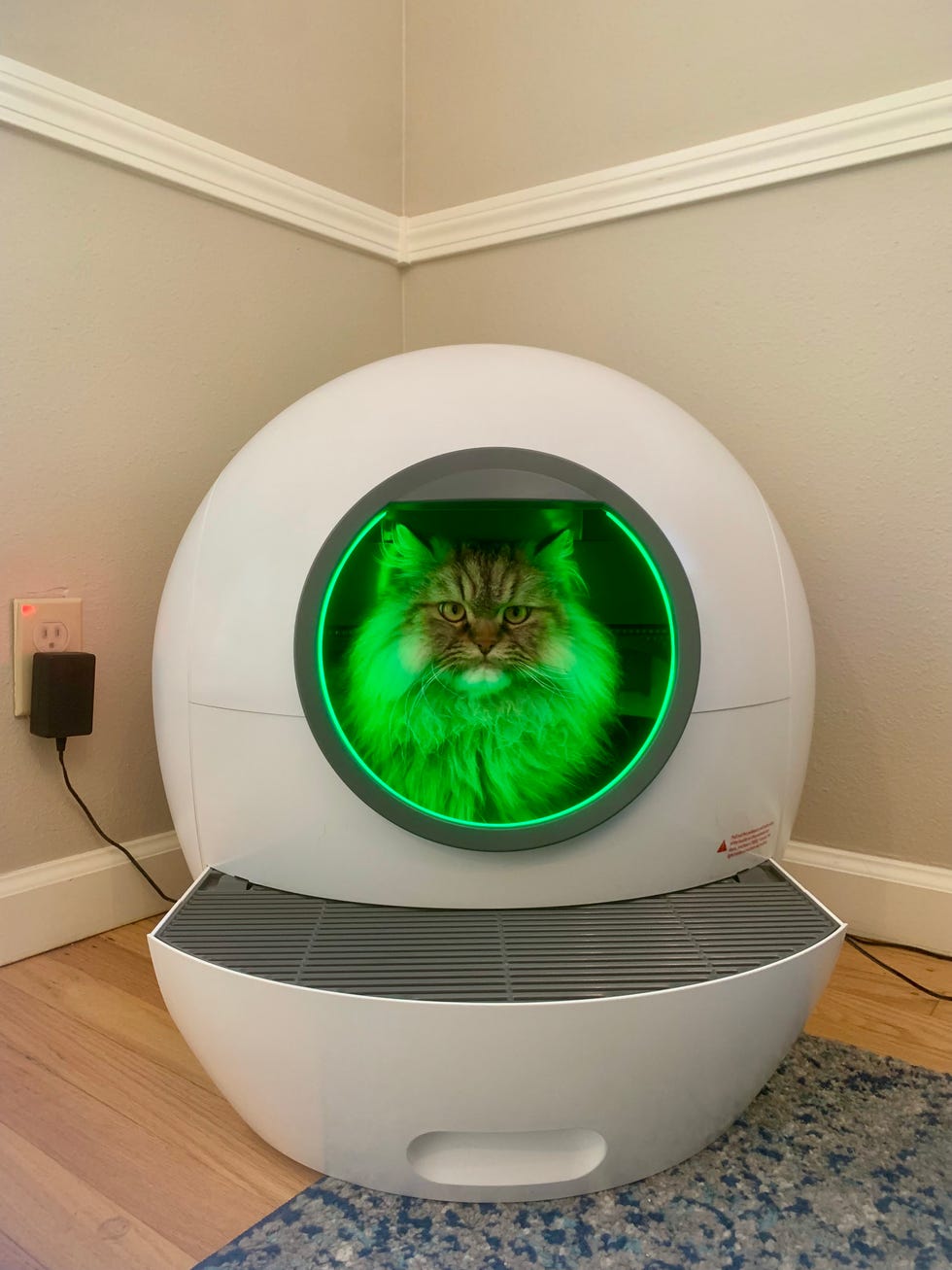 Cat litter box that hooks up to toilet best sale