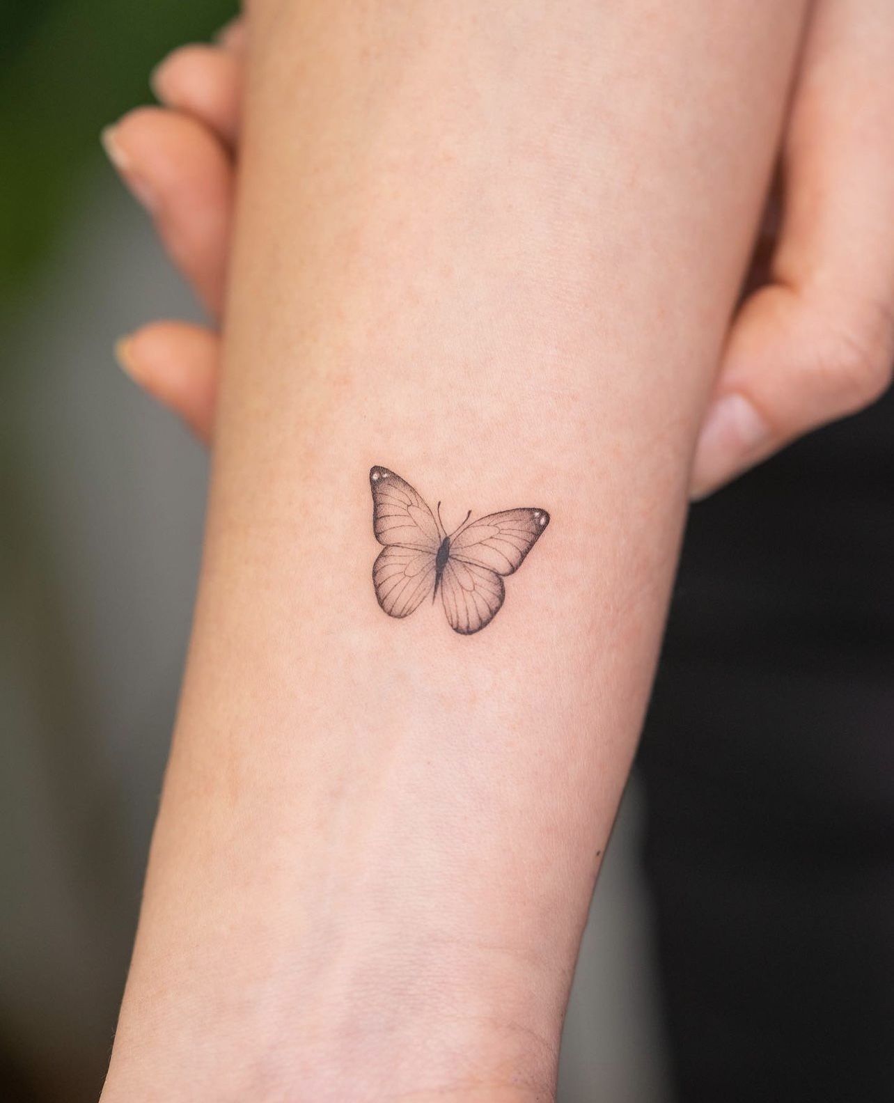 Tatuaje de mariposa en el brazo