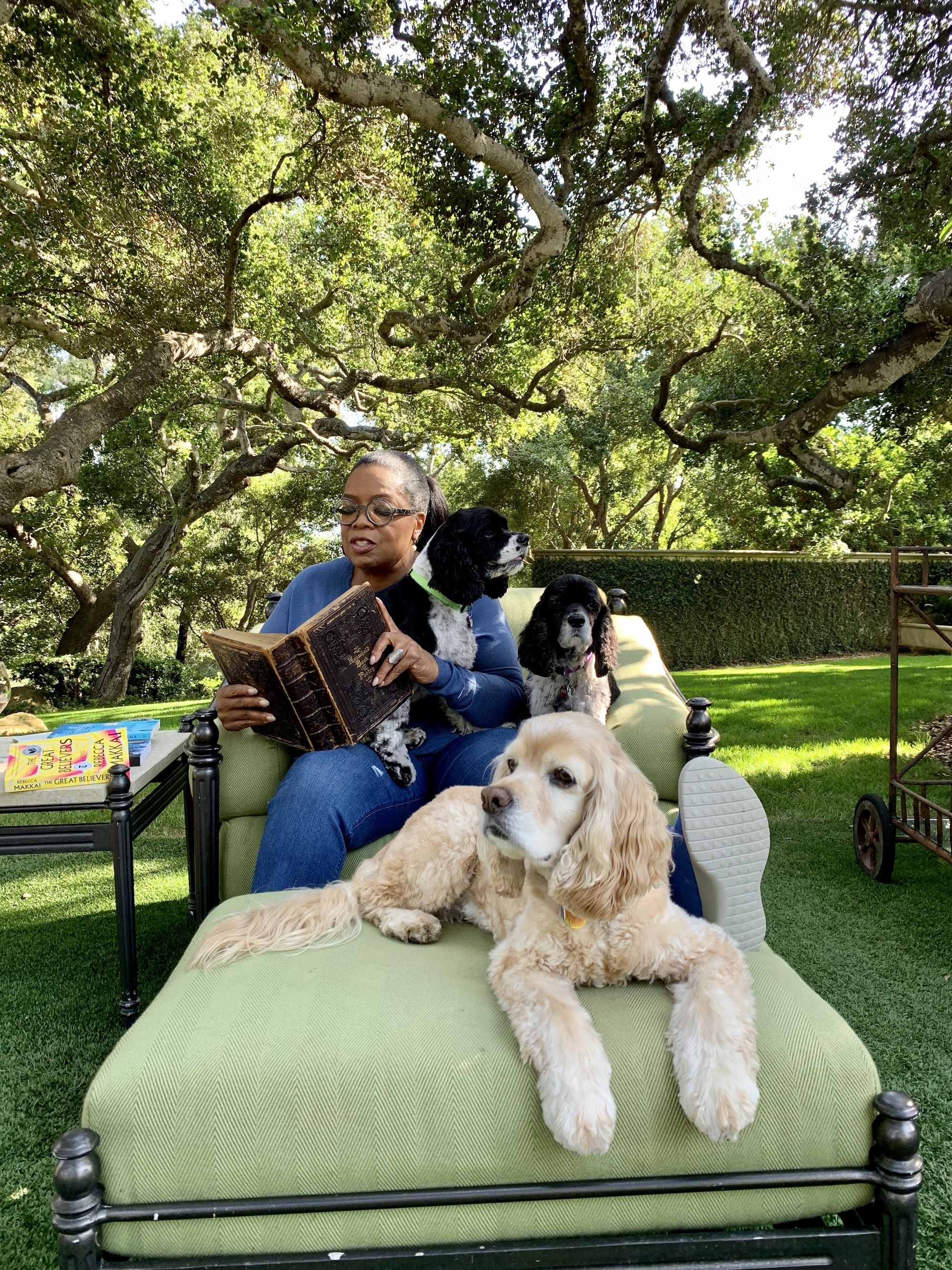 What Type of Dogs Does Oprah Have? Uncover Her Furry Friends!