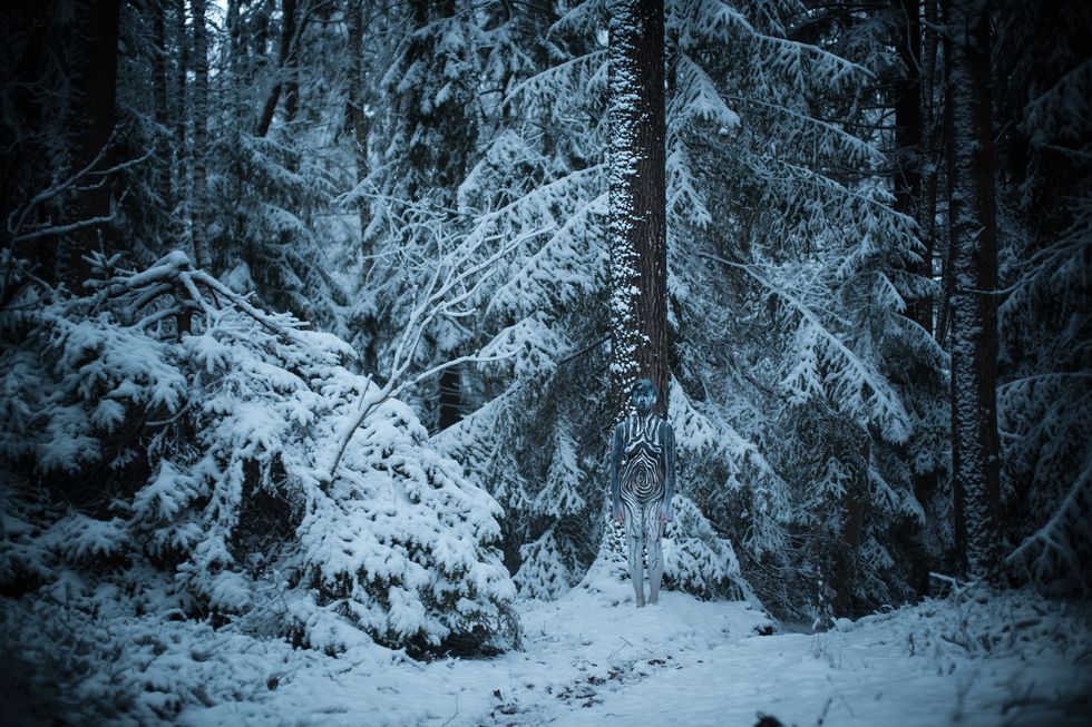 Snow, Winter, Tree, Forest, Black, Nature, Natural environment, Freezing, Old-growth forest, Spruce-fir forest, 