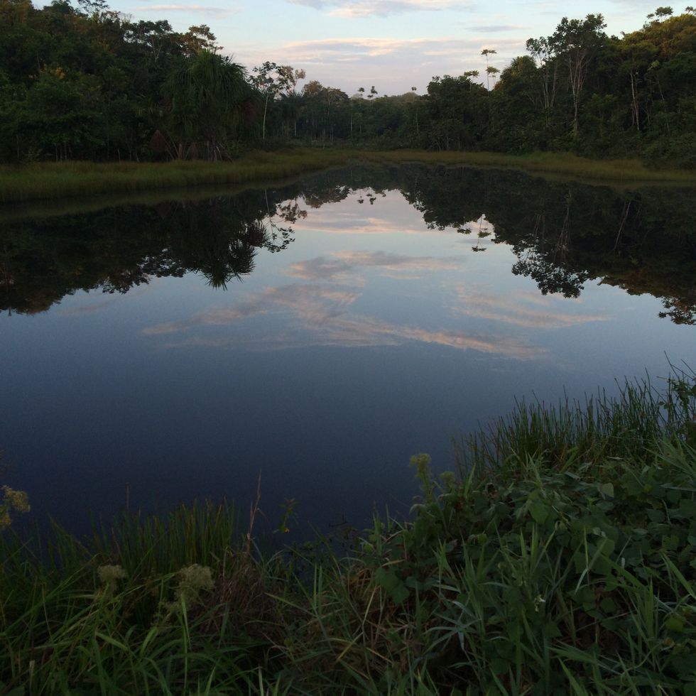 un paesaggio dell'amazzonia scattato da sebastiano mauri