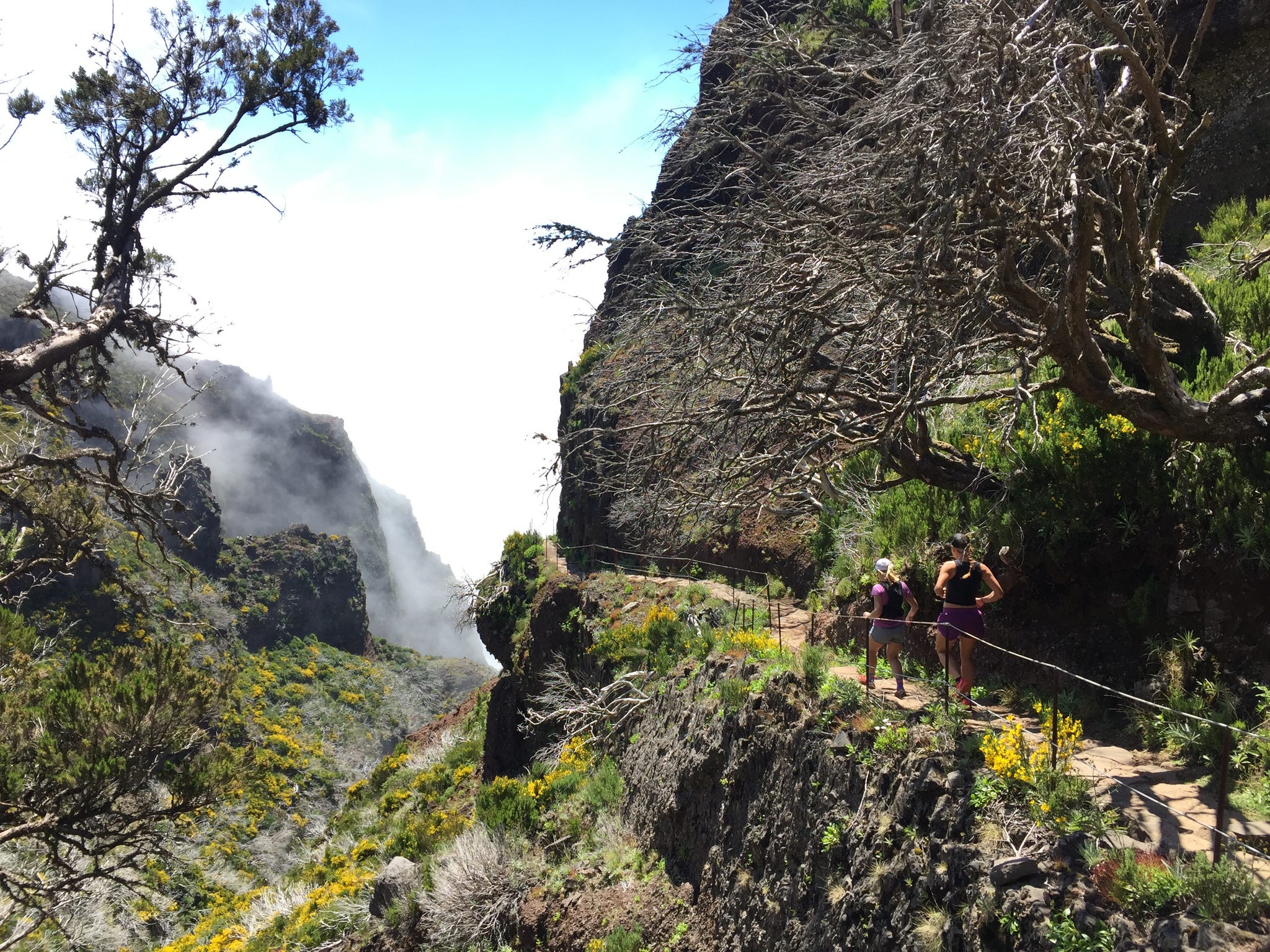 Scene from Trail Run Adventures" Madeira 5-Day run in Portugal