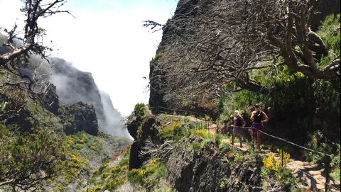 Scene from Trail Run Adventures" Madeira 5-Day run in Portugal