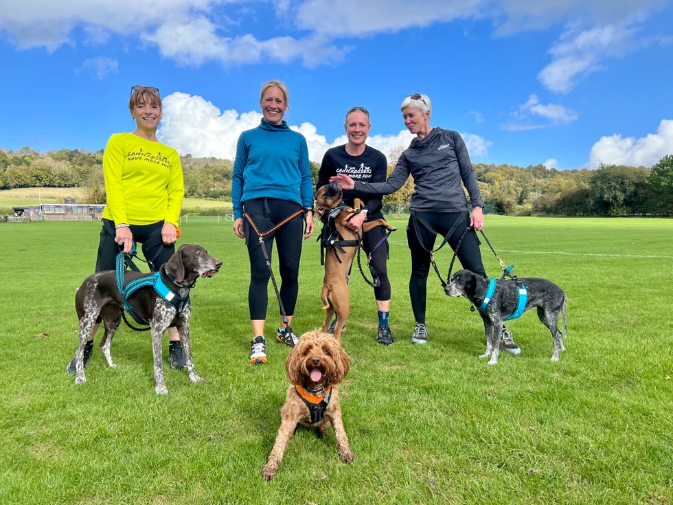 sophie raworth and dogfit