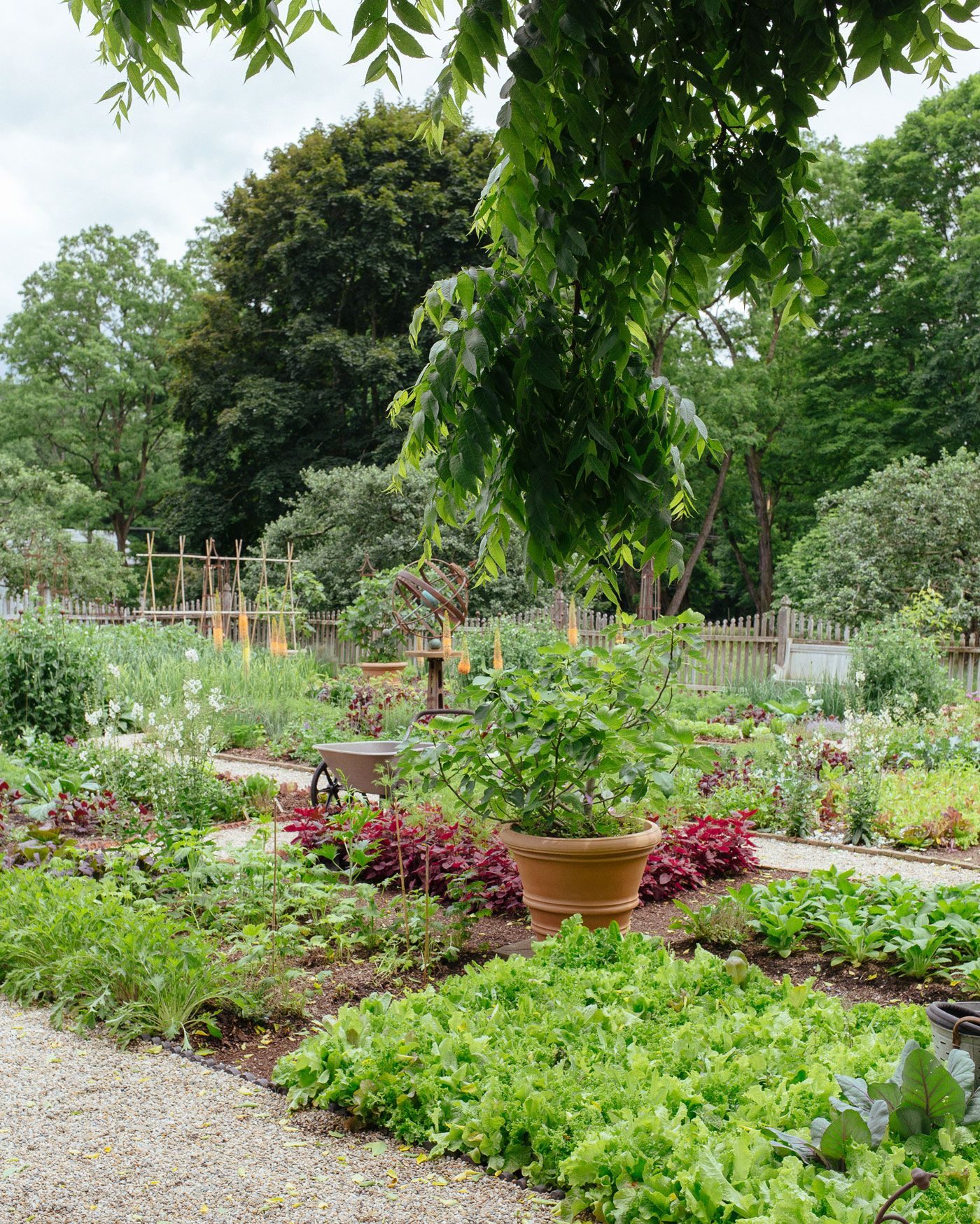 French　Create　How　to　Vegetable　AKA　a　Potager　Garden