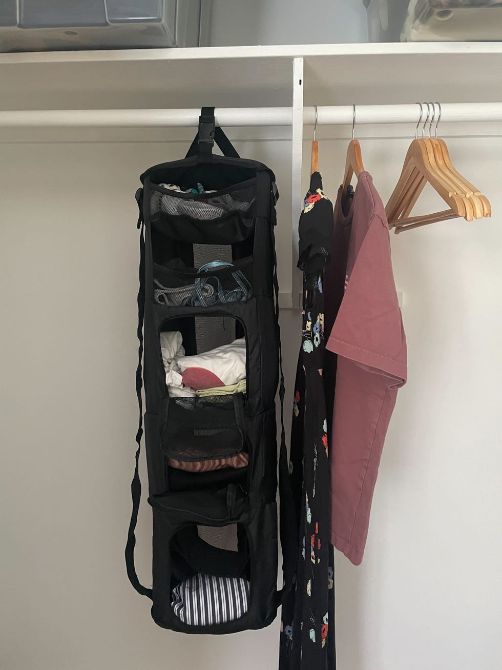 solgaard carry on closet review