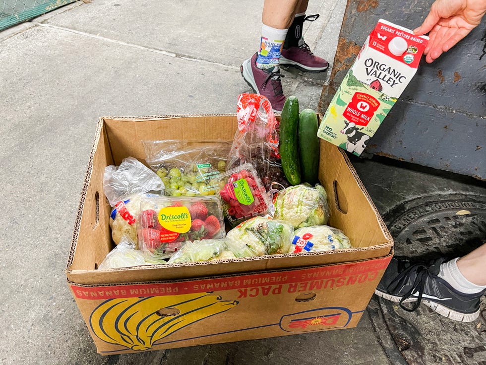 trash tour