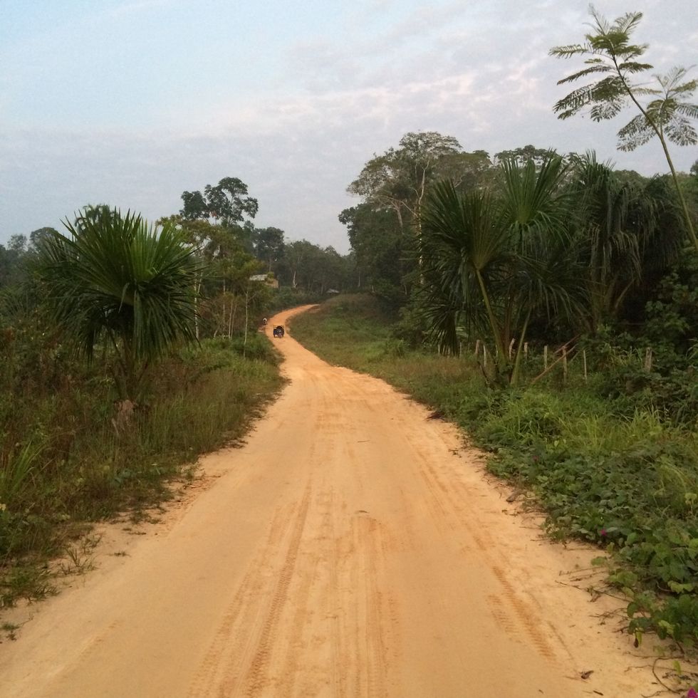 una foto, sempre di sebastiano mauri, di una strada che si addentra nella foresta amazzonica il suo libro si svolge a iquitos, dov'è stato girato il film ﻿fitzcarraldo﻿