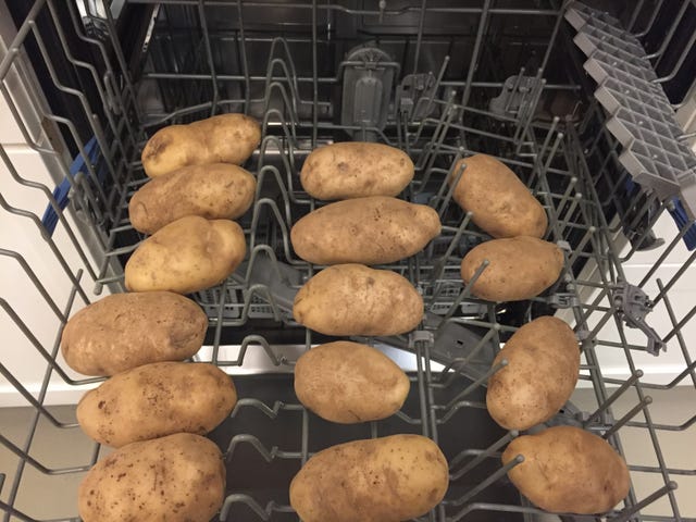 Potatoes in dishwasher
