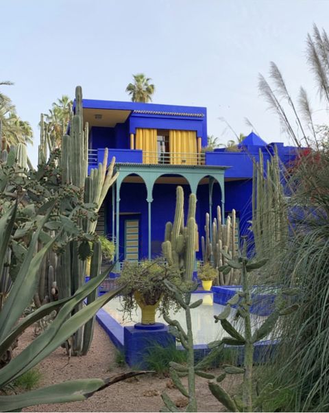 Majorelle blue, Blue, House, Property, Botany, Home, Architecture, Real estate, Building, Tree, 