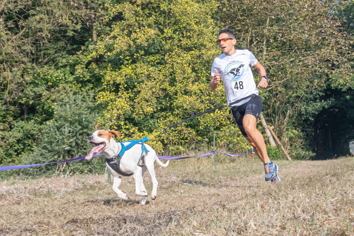 preview for Canicross: Ben Robinson di corsa con il cane Blake agli IFSS World Championship 2017 in Polonia