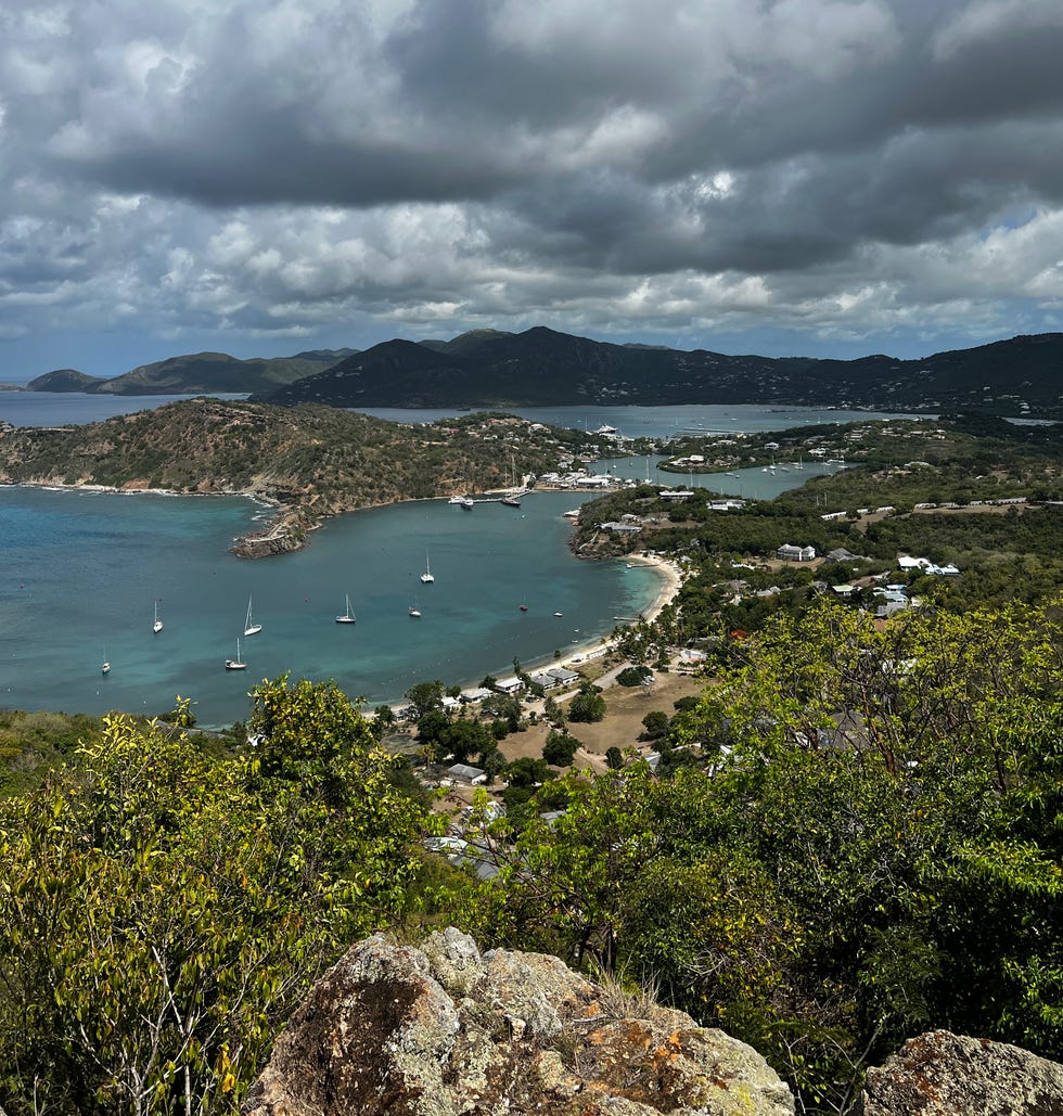 a body of water with a beach and trees around it