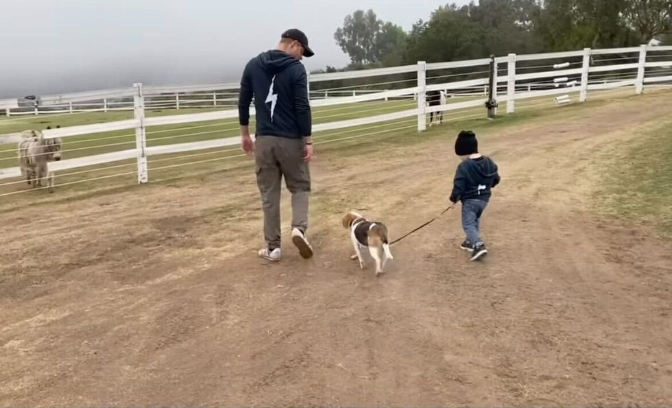 meghan markle, harry, lili, and archie with guy in photos fron her tribute