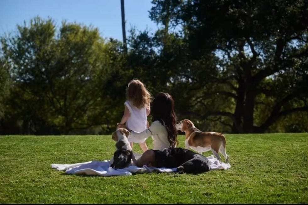 meghan markle, harry, lili, and archie with guy in photos fron her tribute