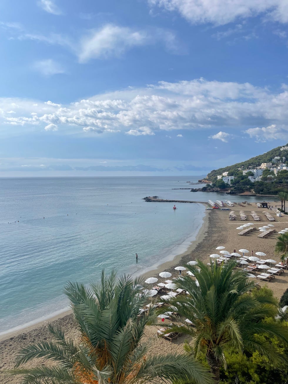 a beach with many people on it