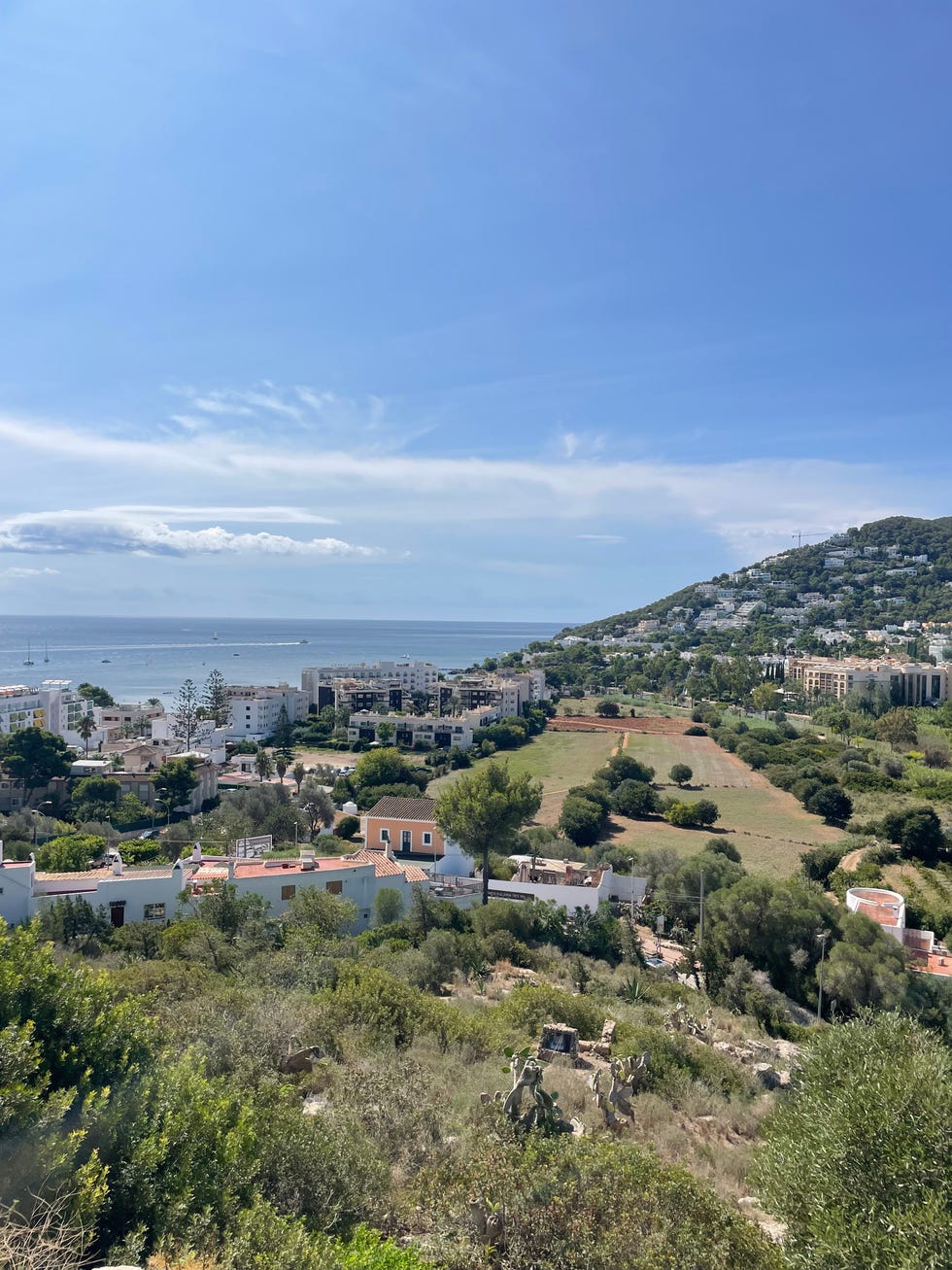 a view of ibiza