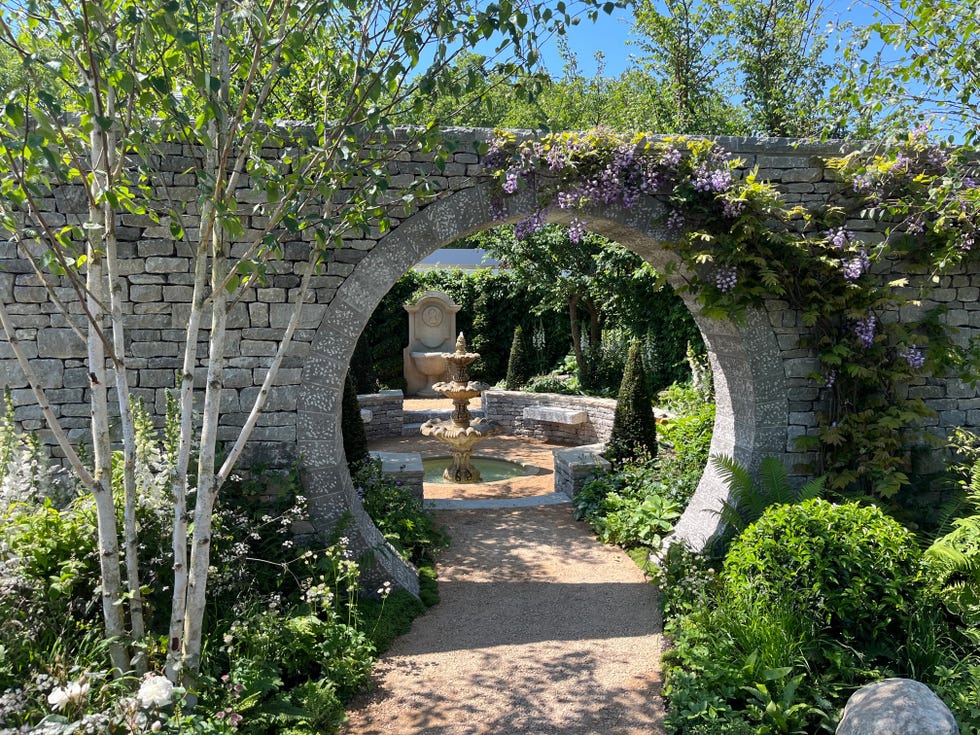 chelsea flower show winners