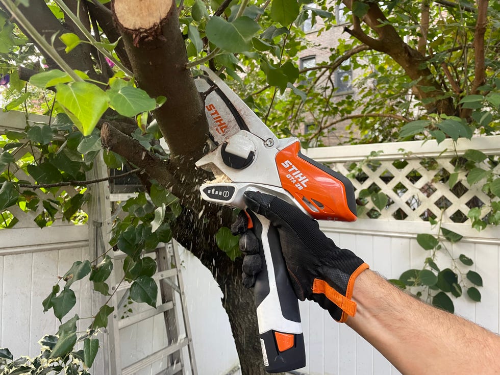 a mini chainsaw is used to cut a branch testing