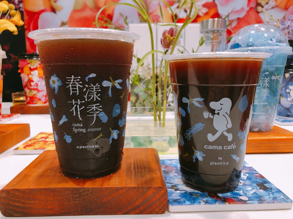 cama café,plantica,咖啡店,聯名花杯,日本花藝,台北飲品,飲品推薦