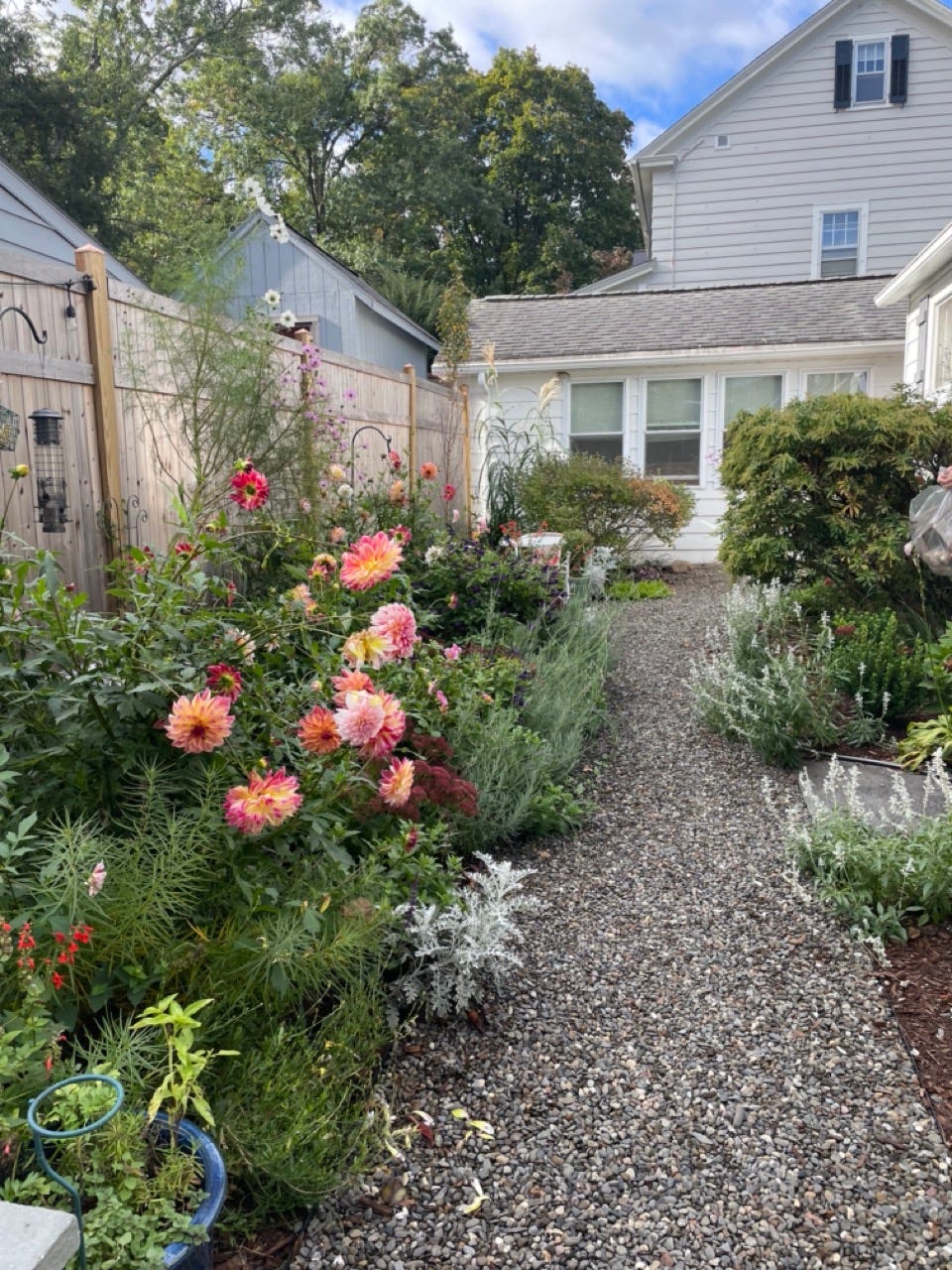 garden pathway bordered by vibrant flowers and greenery