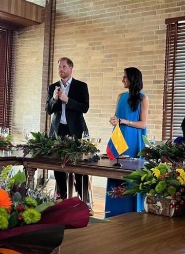 meghan and harry at luncheon