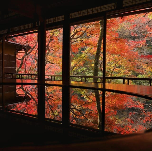 京都人がひそかに楽しむ、とっておきの紅葉スポット3選(前編) 京都人がひそかに楽しむ、とっておきの紅葉スポット3選(前編)
