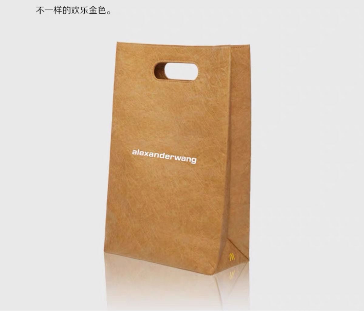 Alexander wang paper online bag